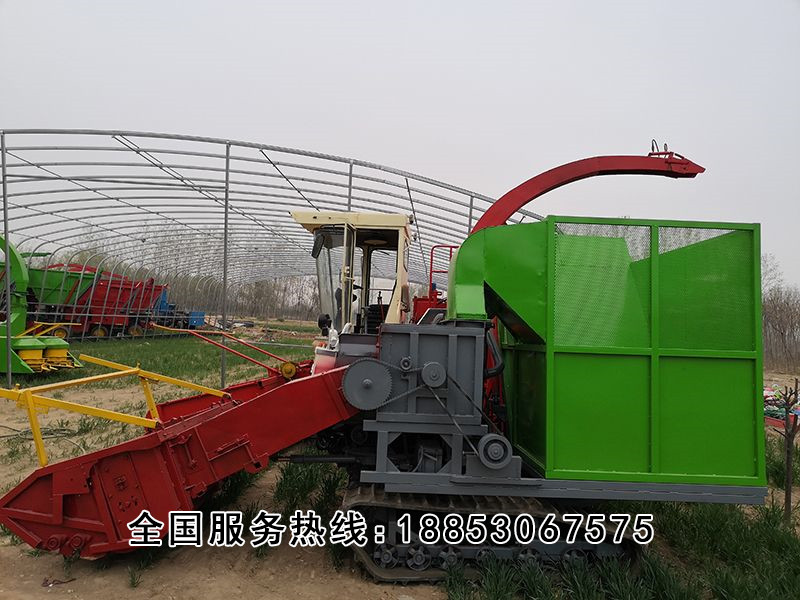 <img src=upfile/images/2019/04/20/small3_15557213714545255.jpg height=350>